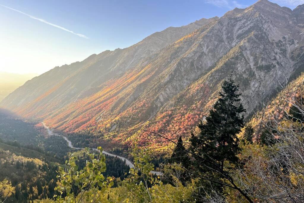 Cottonwood Heights - Lower Level Of Mountain Home! Buitenkant foto